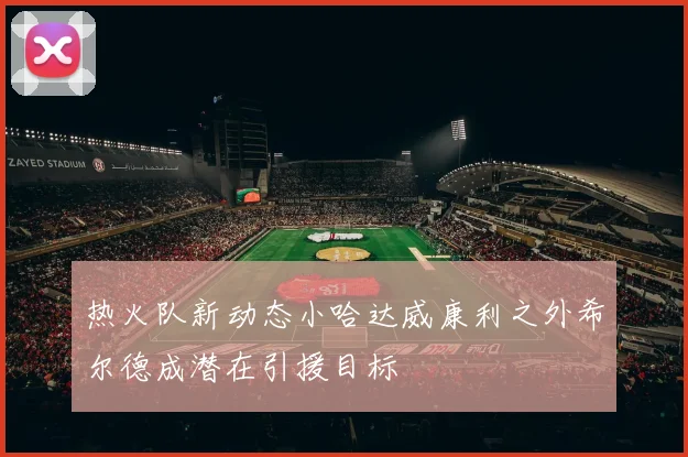 热火队新动态小哈达威康利之外希尔德成潜在引援目标
